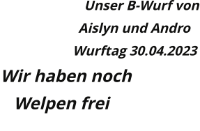 Unser B-Wurf von Aislyn und Andro Wurftag 30.04.2023 Wir haben noch  Welpen frei