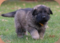 Amira zieht nach Hilden 